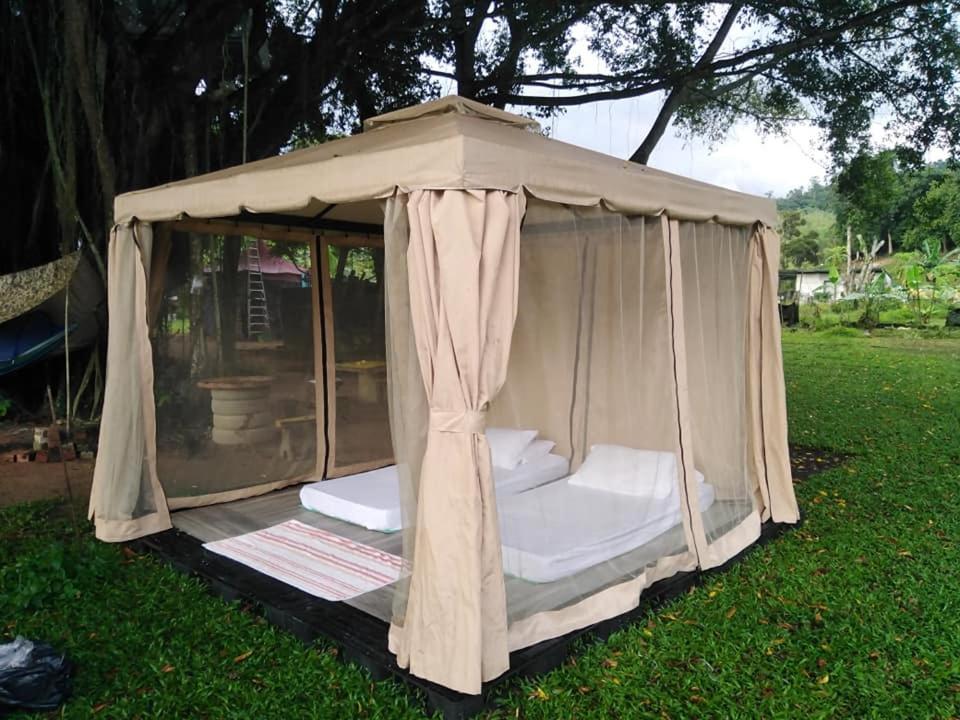 Farmville Glamping Retreat @