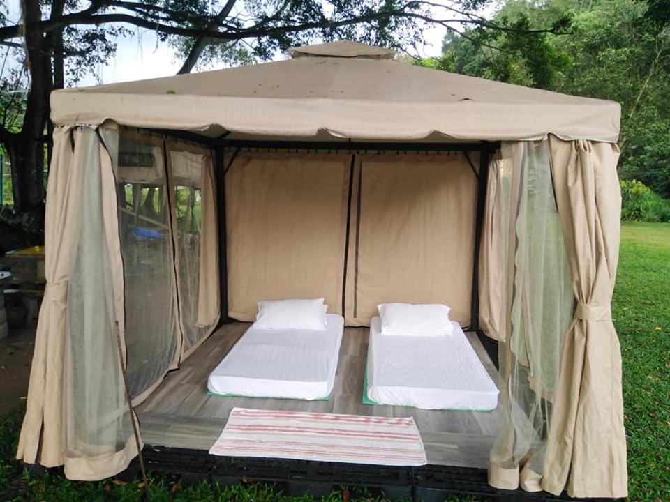 Farmville Glamping Retreat @ *