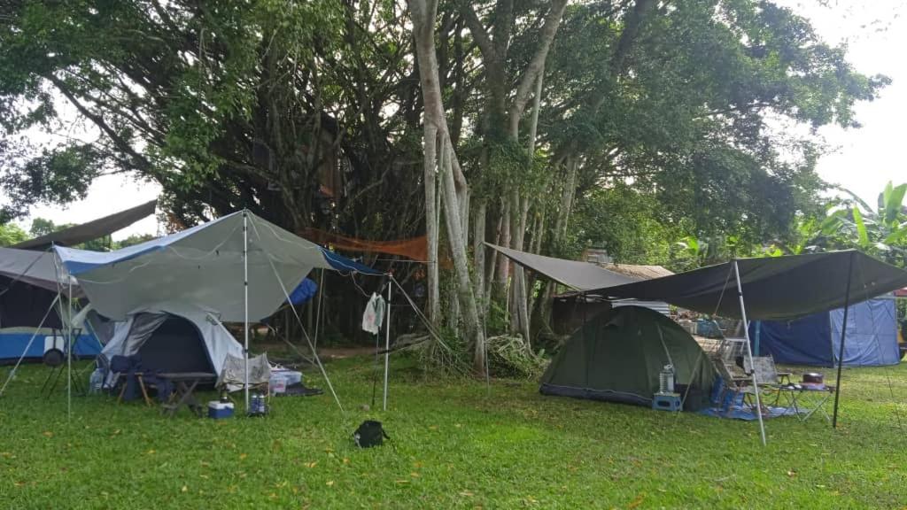 Tapak perkhemahan Farmville Glamping Retreat @ Seremban