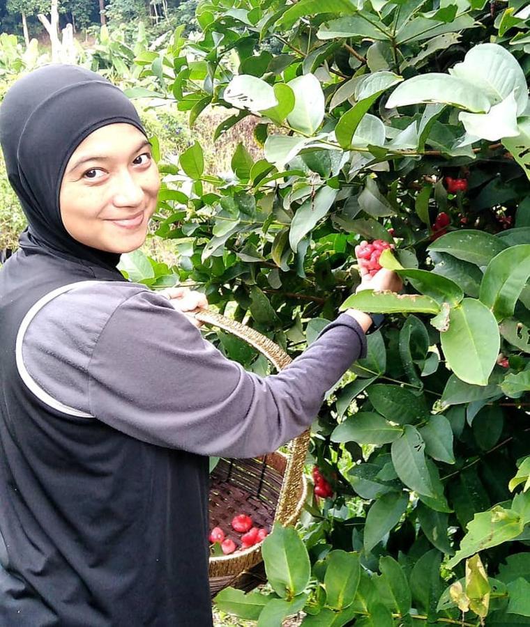 Farmville Glamping Retreat @ Tapak perkhemahan Seremban