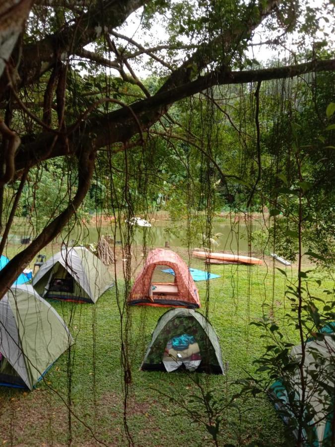 Farmville Glamping Retreat @