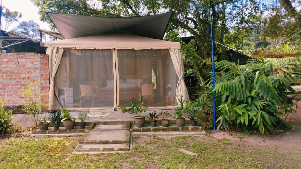 Farmville Glamping Retreat @
